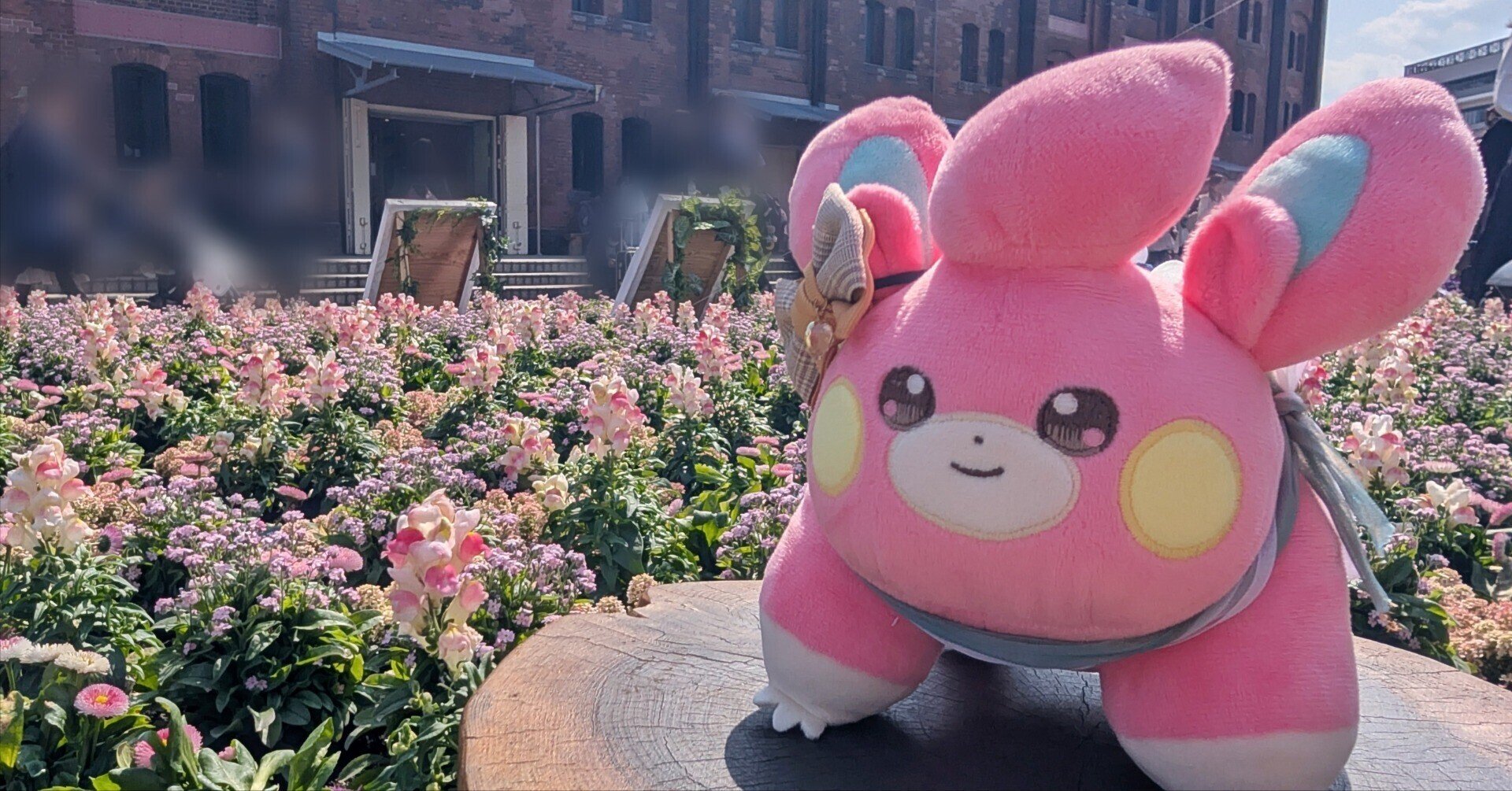 【絶版品】遊扇花　２色バージョン おしゃれな万月扇子セット レモン ⁄ かまわぬ 夏｜暦生活｜日本の季節