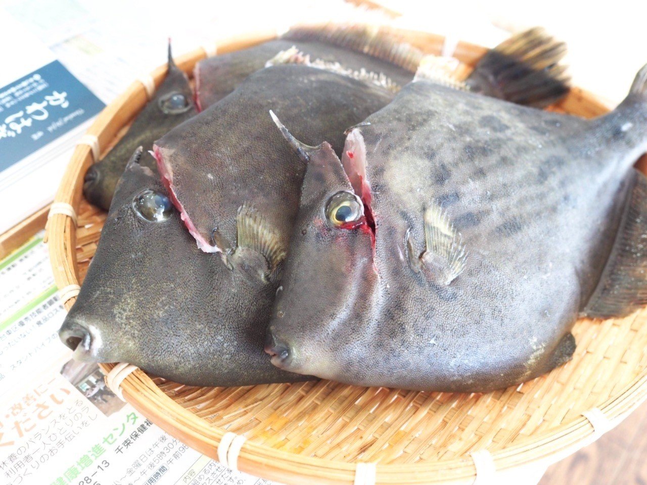 カワハギをさばいて食べ尽くす会をやった話 古谷 真知子 Note カワハギをさばいて食べ尽くす会をやった話 古谷 真知子 Note