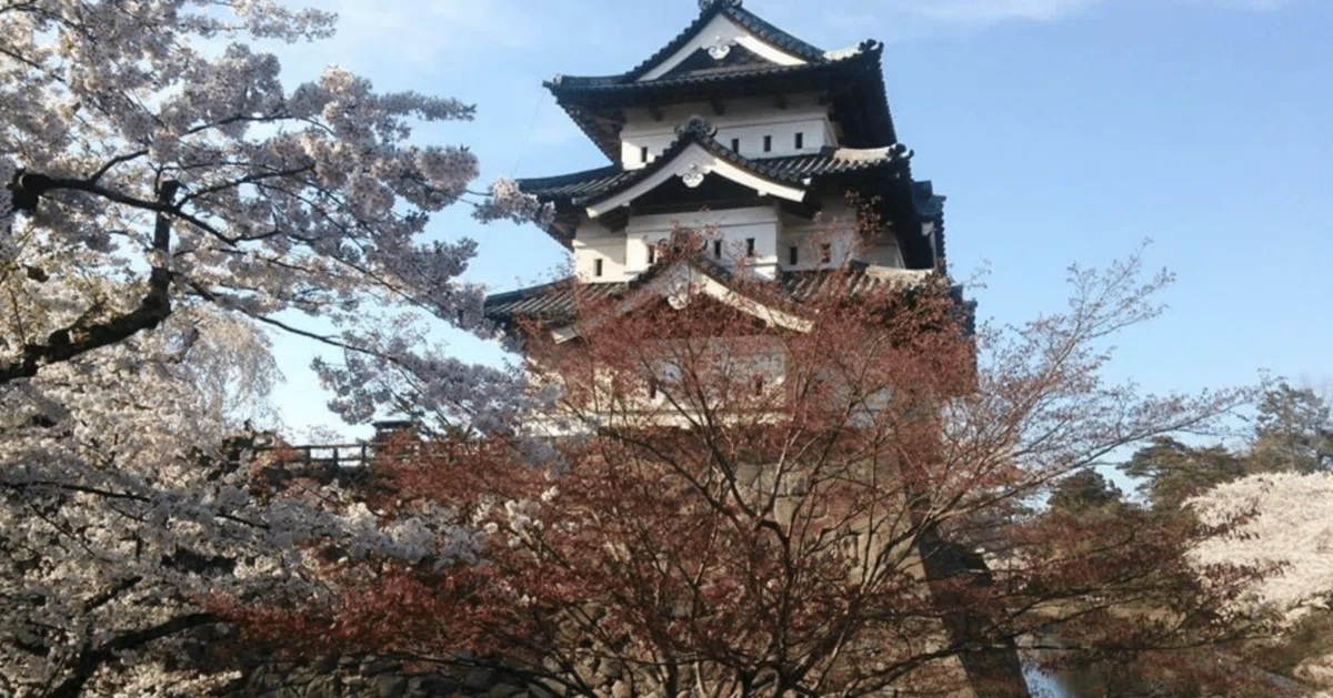 青森の春を彩る、息をのむ絶景。桜の名所を巡る旅|√11