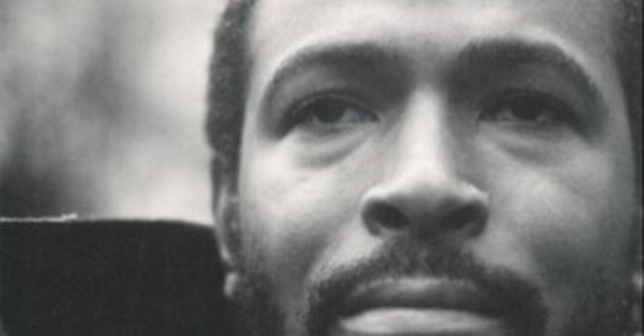 書評『マーヴィン・ゲイ物語 引き裂かれたソウル』 (P‐Vine BOOKs