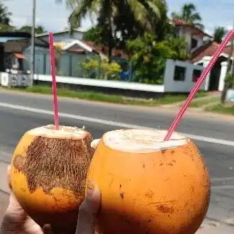 ココナツ🥥