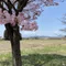 川音