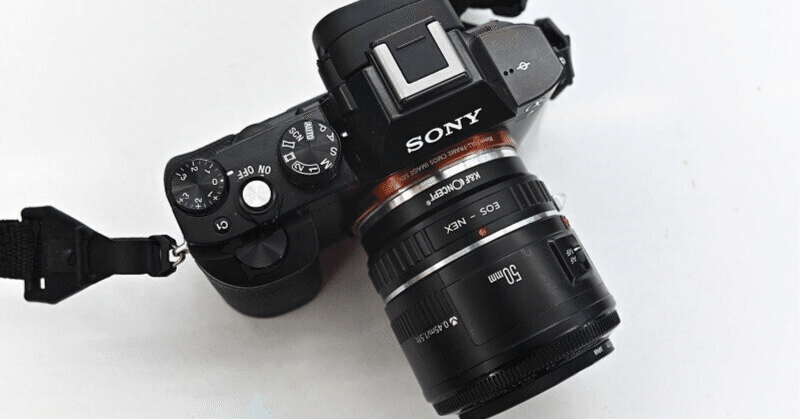 ソニーのカメラに手ブレ補正は必須？失敗しない選び方とおすすめ機種