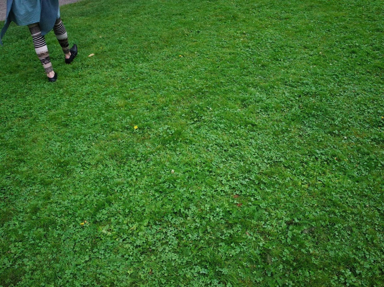 隣の芝生は青い様　ご依頼品　おもり部分 隣の芝生は青い。されど、自分の芝生はもっと蒼い。｜Tatsuya Kato