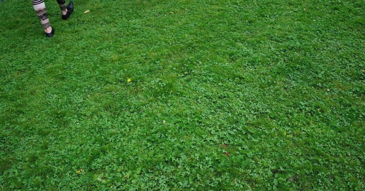 隣の芝生は青い。されど、自分の芝生はもっと蒼い。｜Tatsuya Kato