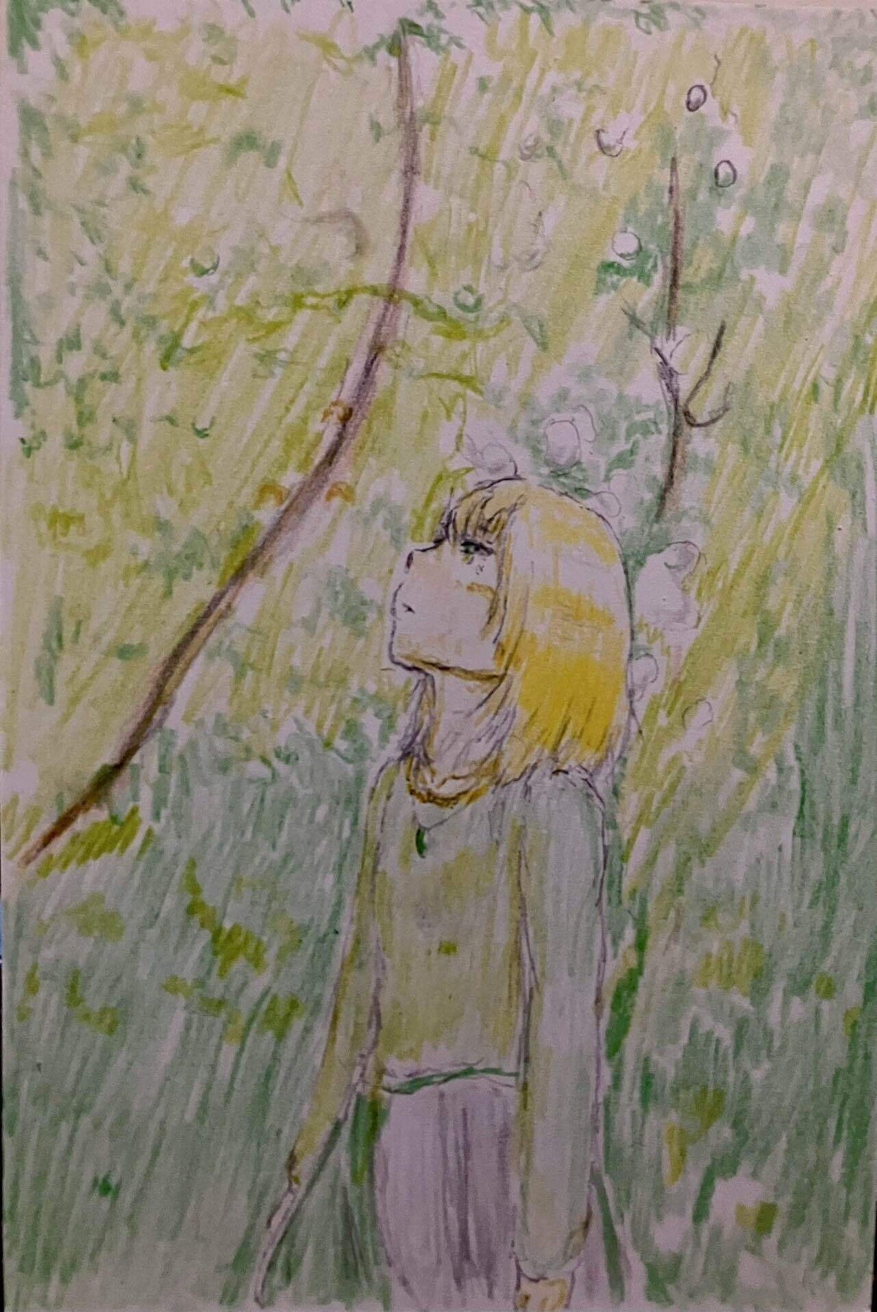 木漏れ日の森 | ｜正光画廊