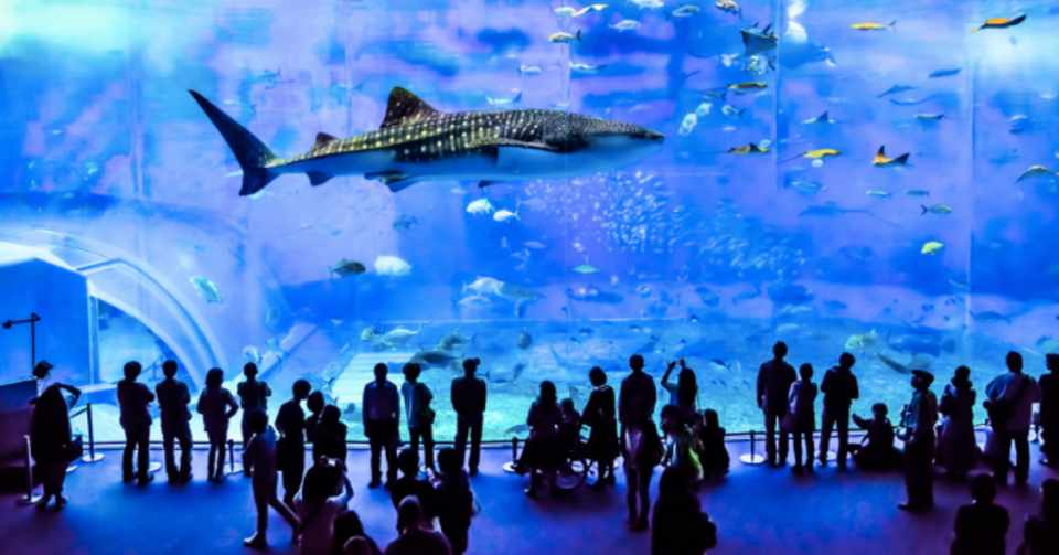 子連れでも沖縄旅行に出かけられる魔法のテクニック 0歳児からok マキ Note