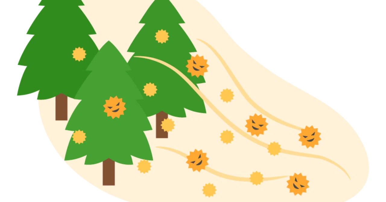 Cedar Pollen Allergy Support Campaign: 5 Days Left! Get Through Spring ...