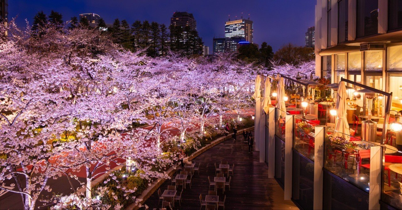 東京ミッドタウンの夜桜」富士フィルム X-T50｜Photographer non🐤
