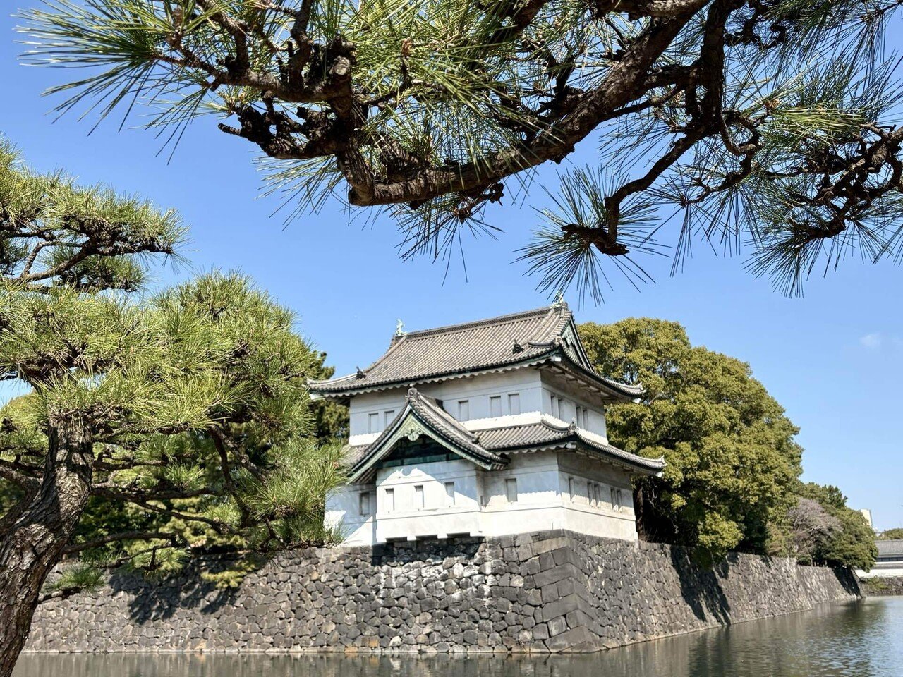 皇居観光〜先月娘が修学旅行に行く時に東京駅まで送っていったので皇居