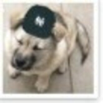 広尾晃「野球のことを中心に、そのほかの話題も」