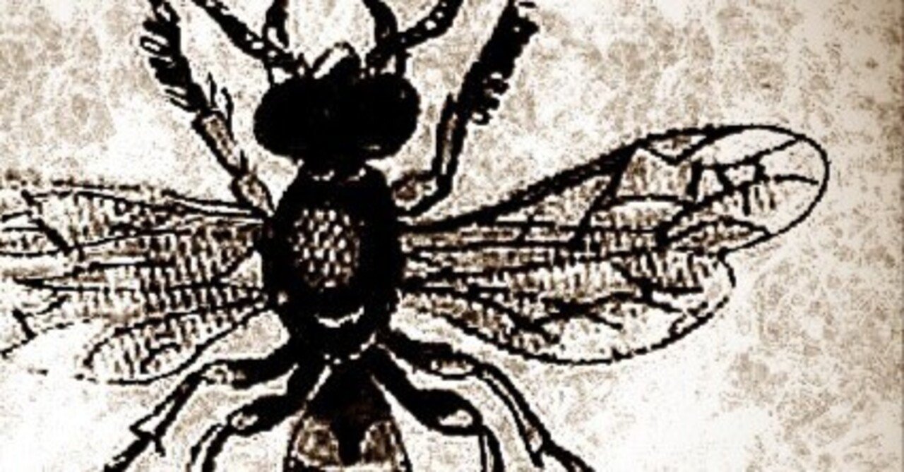 №35「進撃の巨人」光るムカデのカースト制度 継承の仕組み考察③（光るムカデも妻をクローン化して愛する）｜レンズ豆