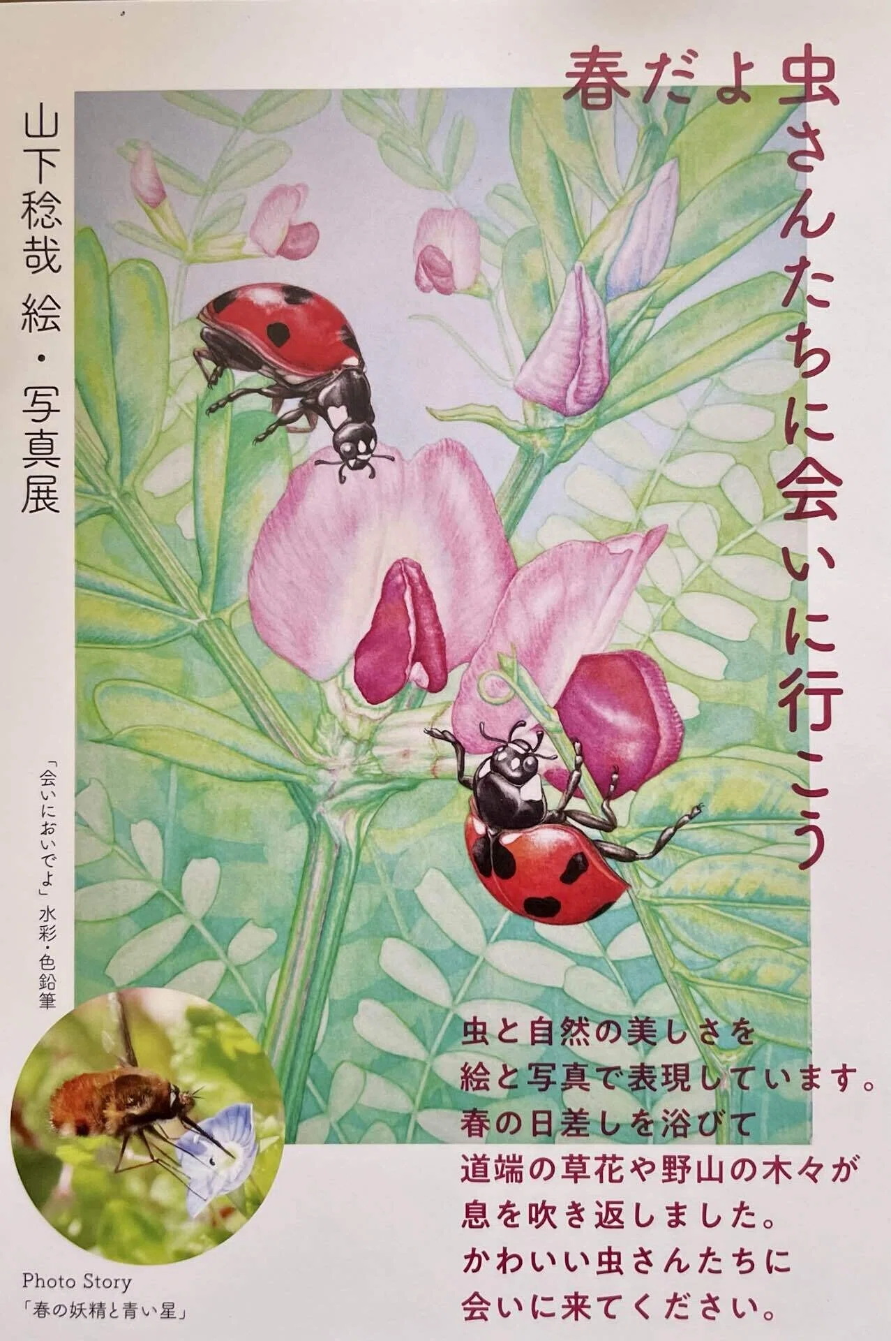 虫さんたちに会いに行きます！春なので！ 〜山下稔哉 絵・写真展〜｜ぽ