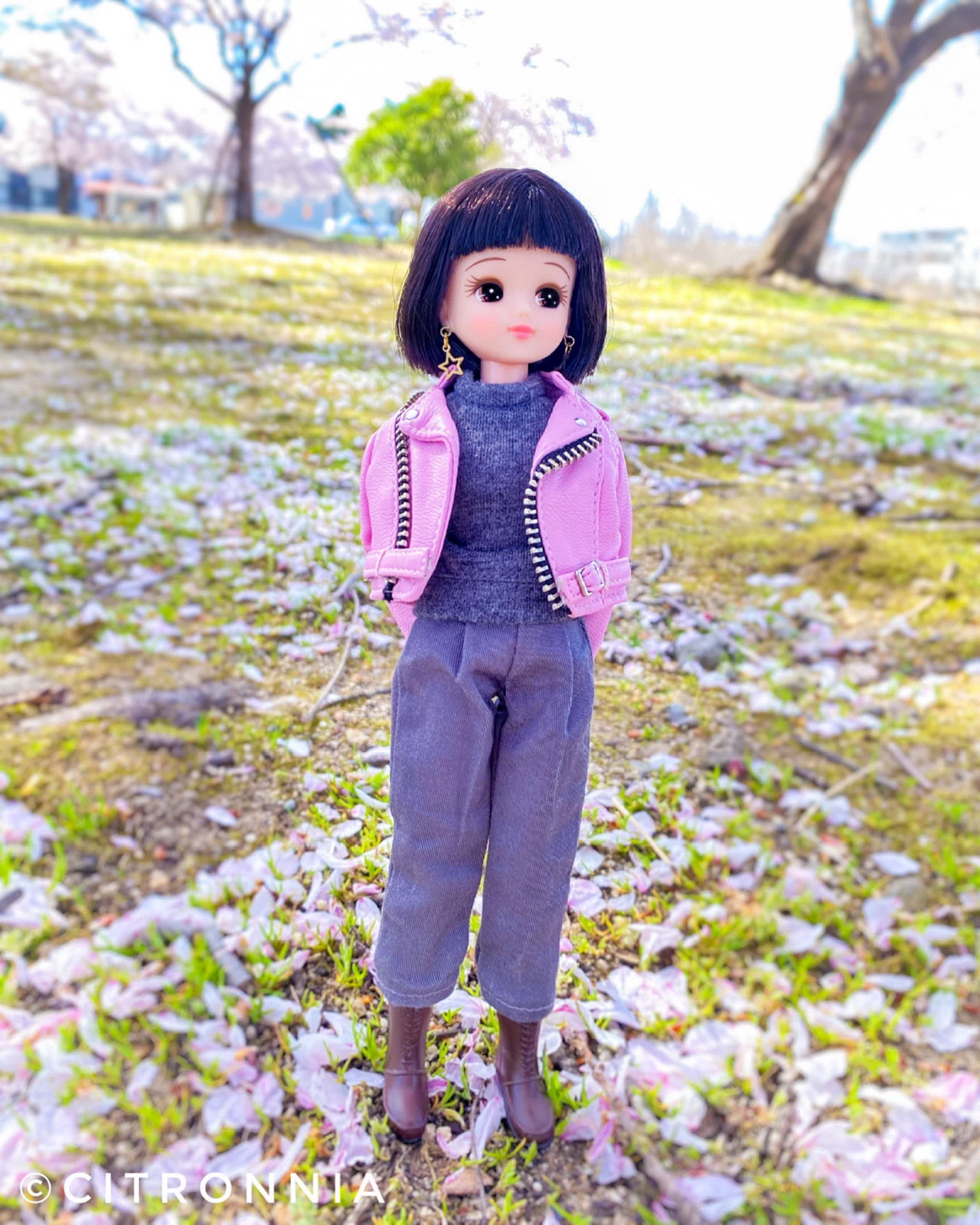 Introduction to My Licca-chan Dolls ①｜citronnia