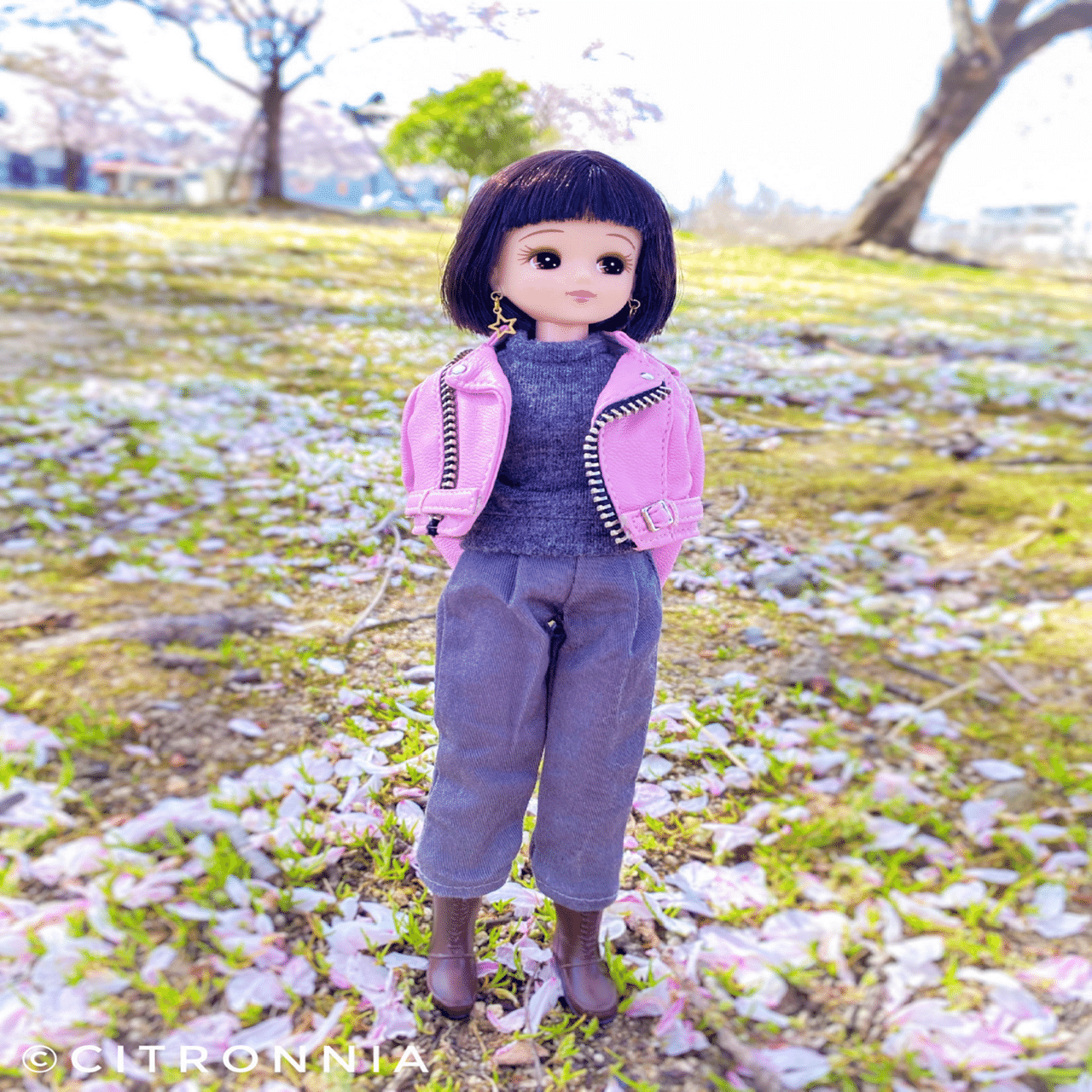 私のリカちゃんの紹介 ①｜citronnia