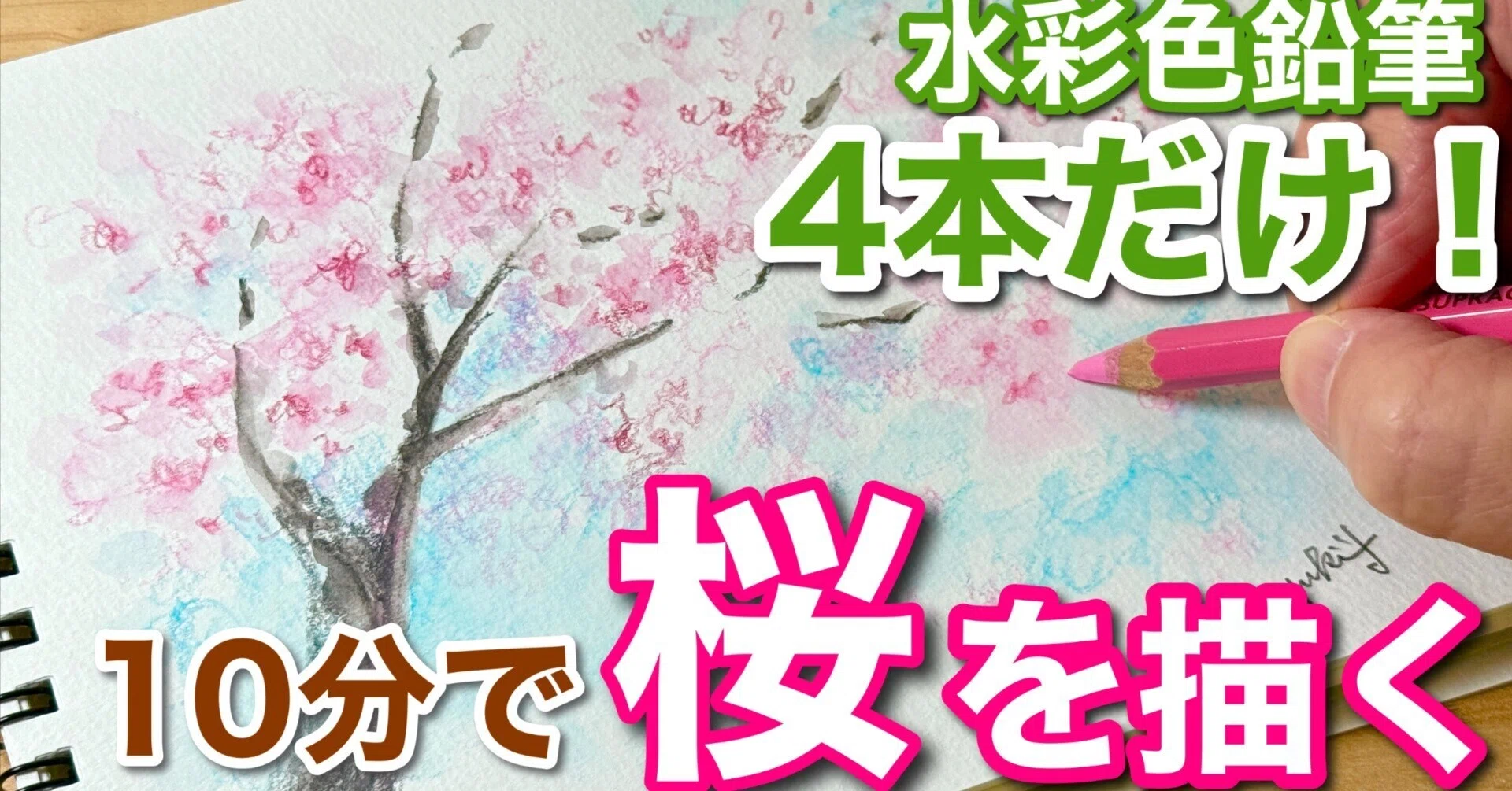 簡単！水彩色鉛筆4本で描く桜の描き方｜吉沢深雪