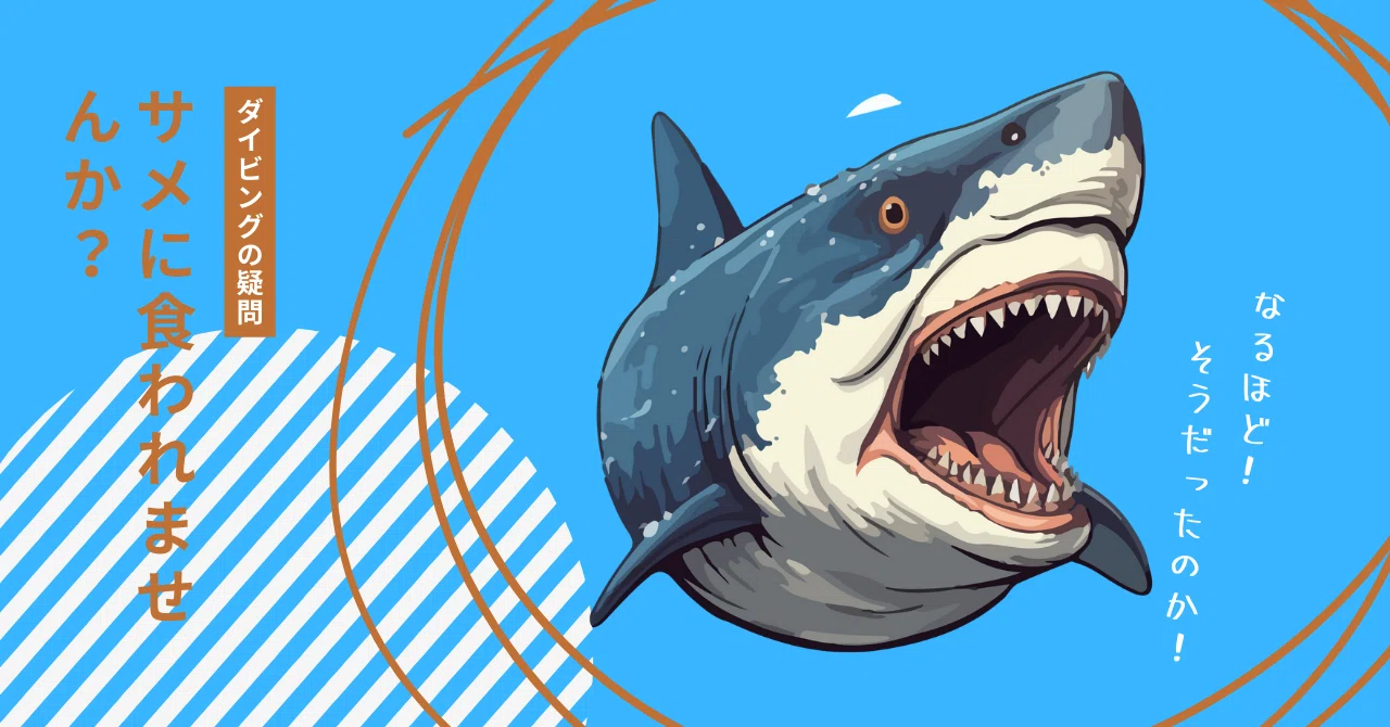 ダイビング中にサメに襲われることってあると？🦈怖がりさん必見の安全