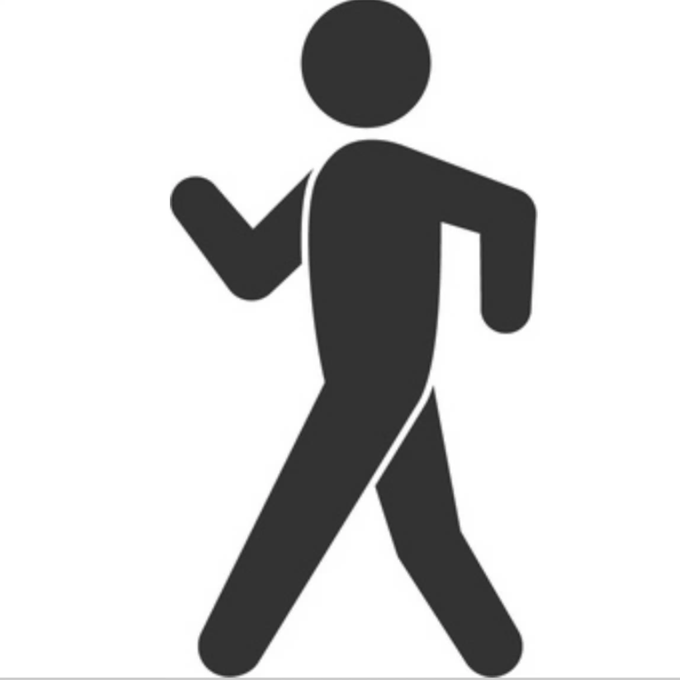 Orthopedic Physical Therapist