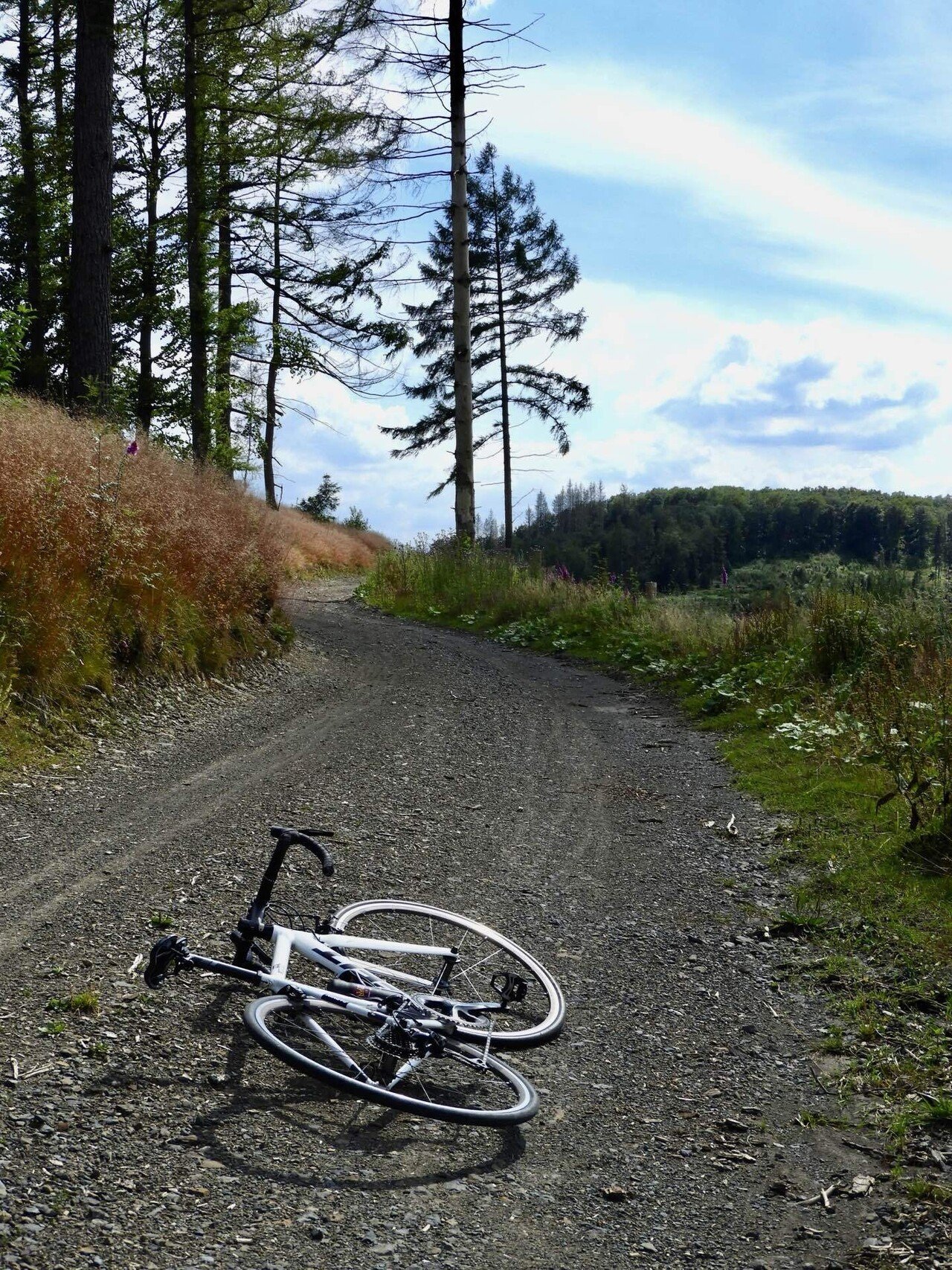 自転車天国ドイツは本当に自転車に優しいのか。｜ドイツに魅せられた