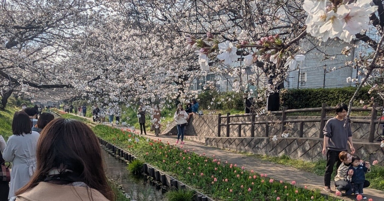 家族でお花見。 rectangle_large_type_2_3674319