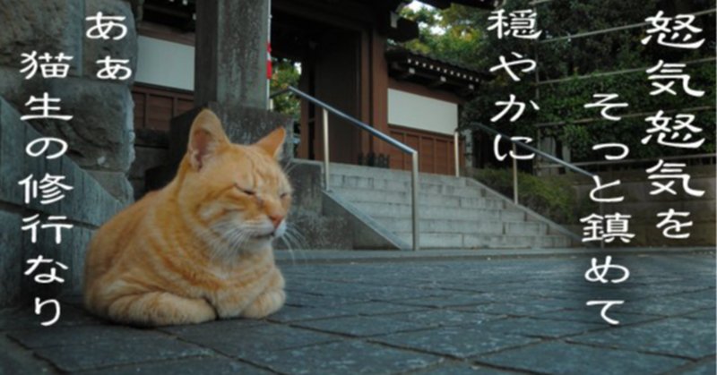 神経質な人はご遠慮ください」 2022年2月5日|かわうそ 神経質な人はご遠慮ください」 2022年2月5日|かわうそ