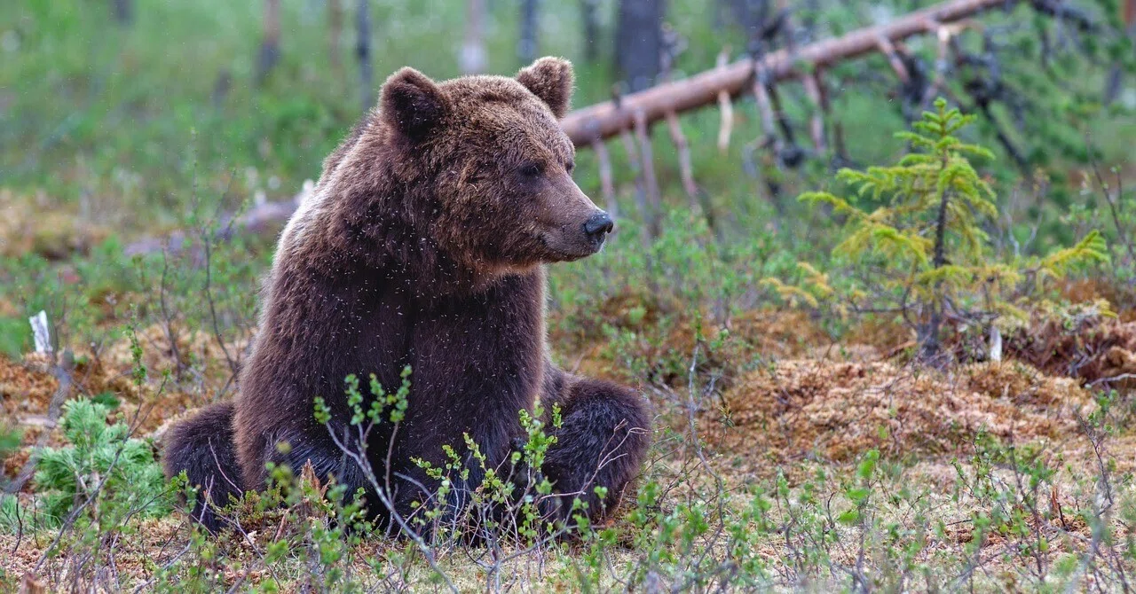 全然書けないときに書く話①|たくひら