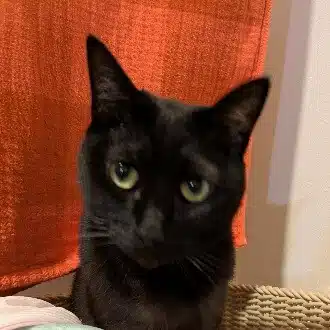 ひろみん