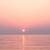 海外営業部署での英訳チェック 初めて直した単語とは Sunny Note