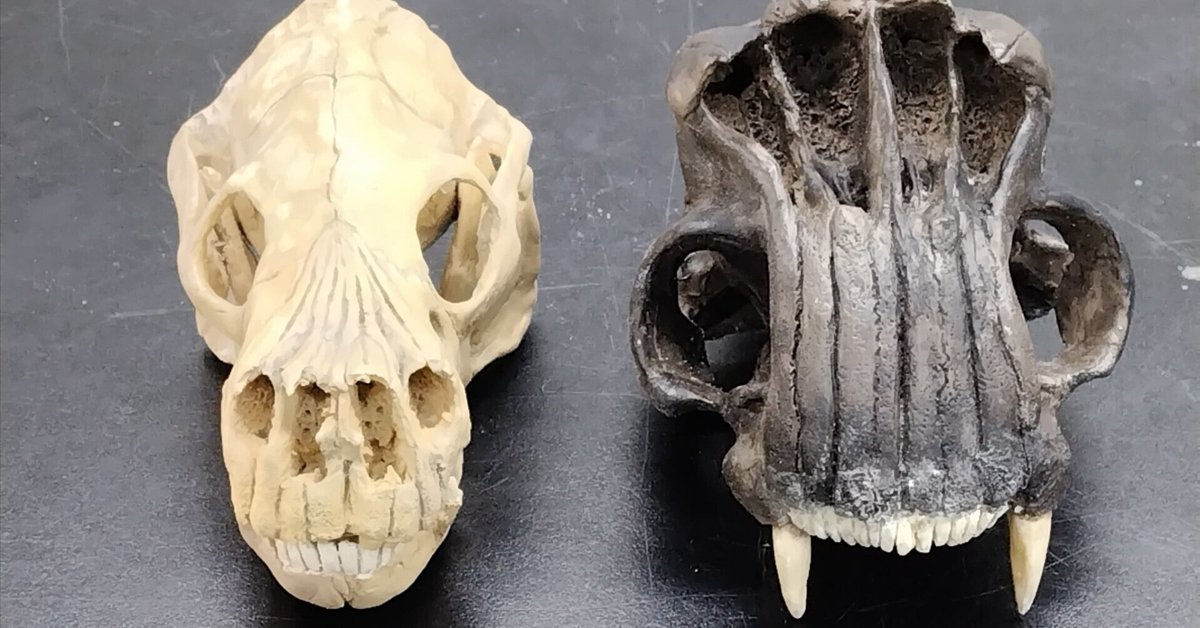 UMA 未確認生物の骨を発見？！ （世界を震撼させた未確認生物の