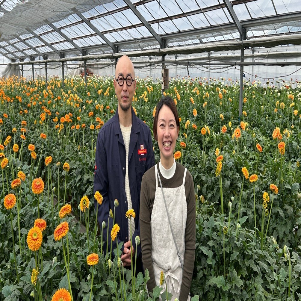 ララオーダー 門松86、ウォールフラワー118ガーランド ララ様専用