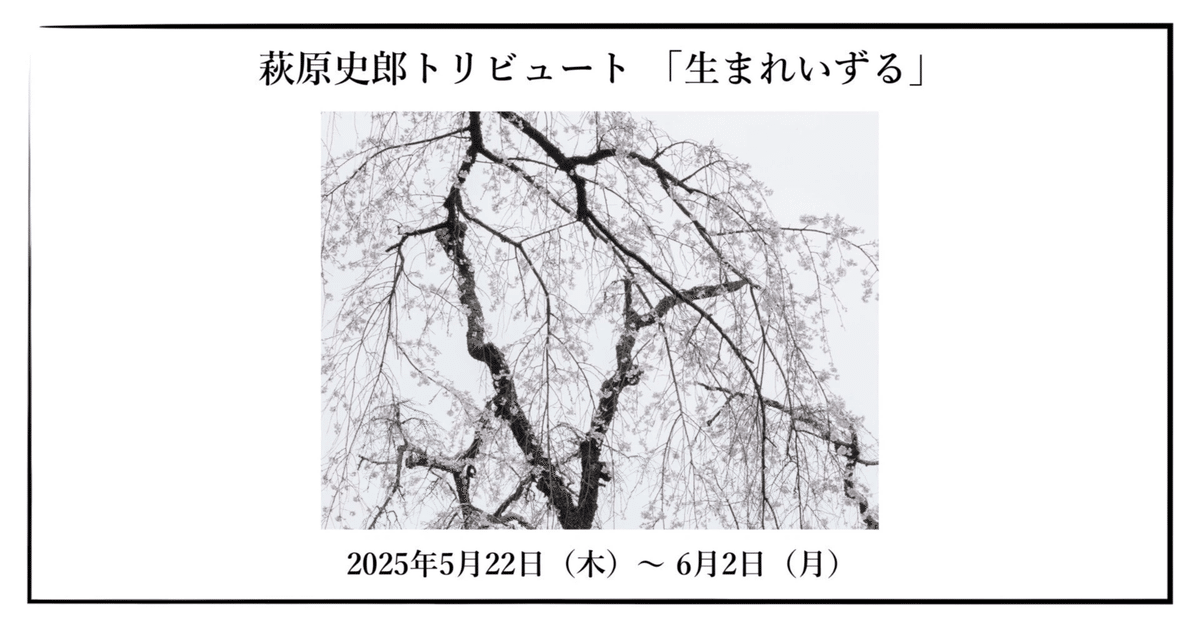 2025年5月22日（木）～ 6月2日（月）萩原史郎トリビュート