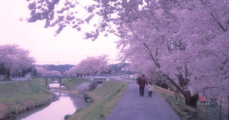 春の前田川02_双葉町_