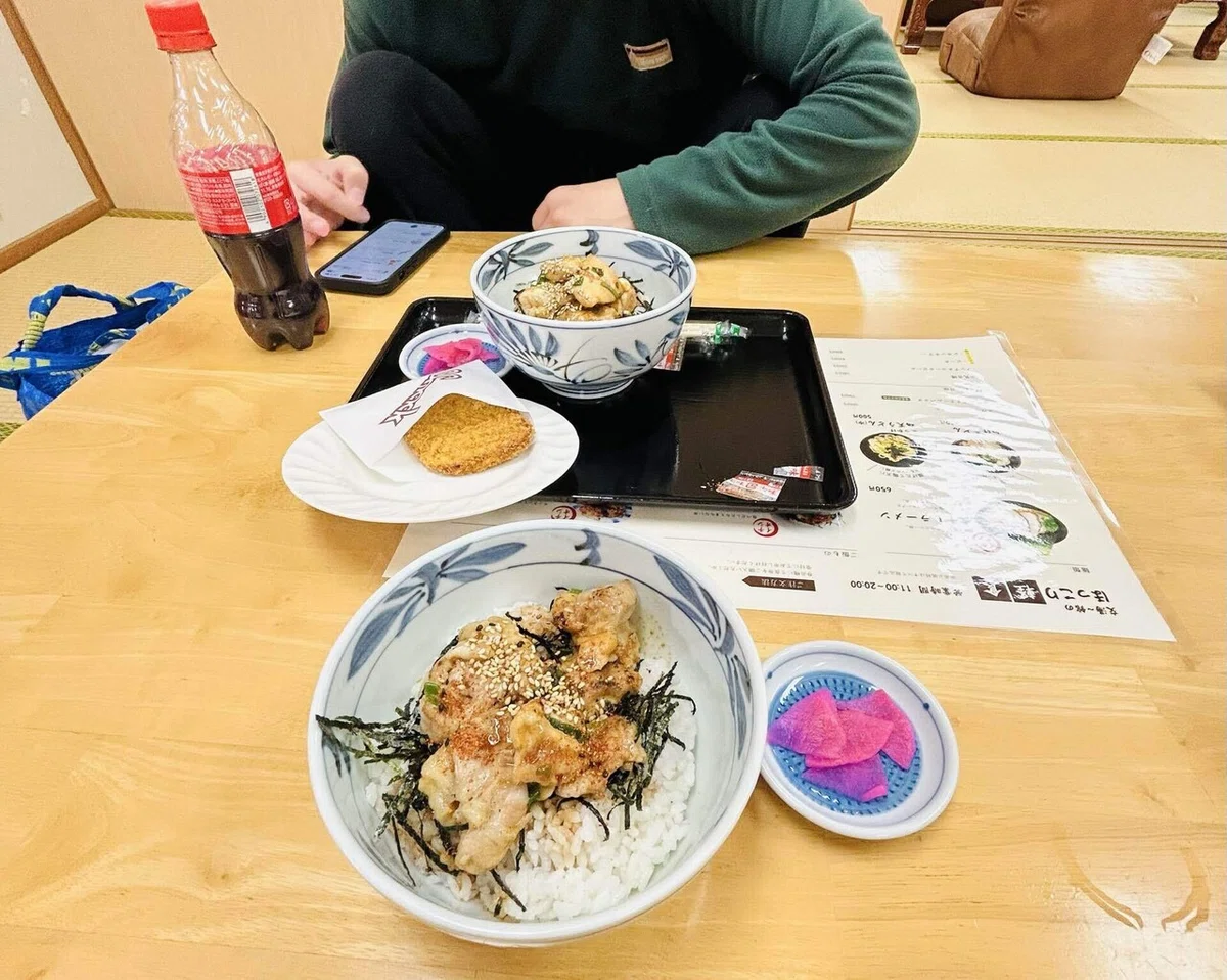 温泉で食べた鳥丼