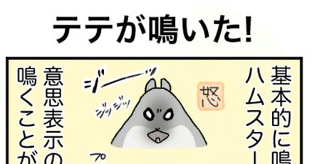 テテちゃん」の人気タグ記事一覧｜note ――つくる、つながる、と