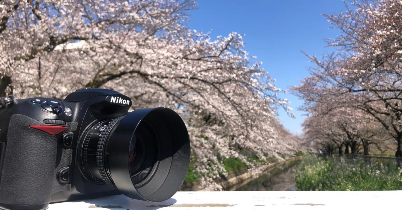 AI AF Nikkor 20mm f/2.8Dというレンズ｜まつぼっち
