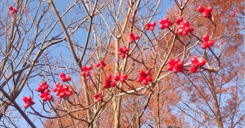 将棋ウォーズで千日手になる みーにん Note