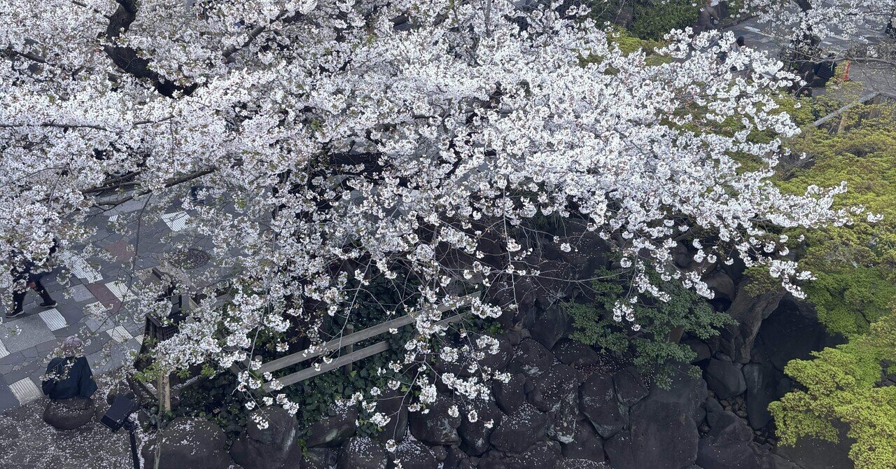 短歌五十音(や)山中智恵子『山中智恵子歌集』|ぽっぷこーんじぇる 短歌五十音(や)山中智恵子『山中智恵子歌集』|ぽっぷこーんじぇる