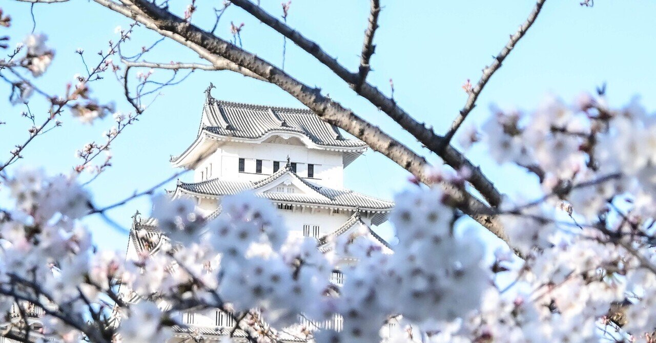 姫路城の桜｜𝙰.𝚊𝚢𝚊