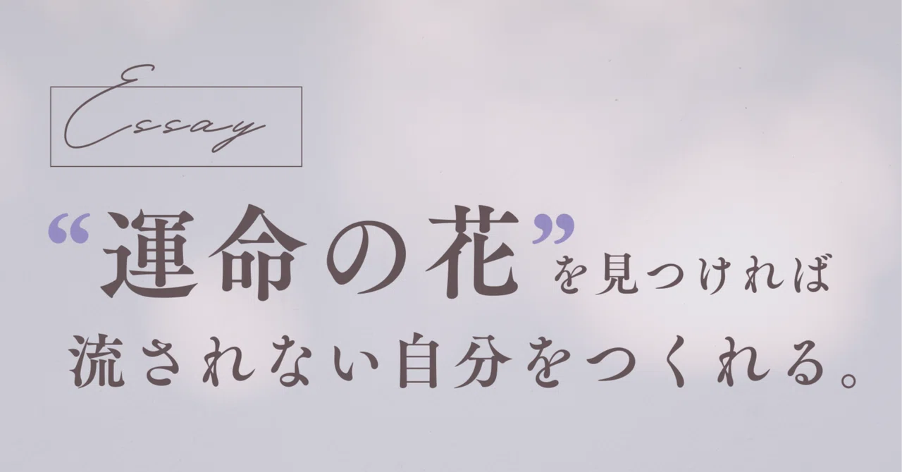 見出し画像
