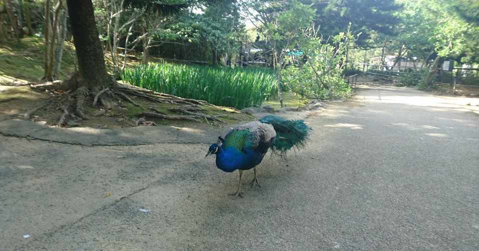 友達が少ない人は 要求が厳しい 稲本稲三 Note