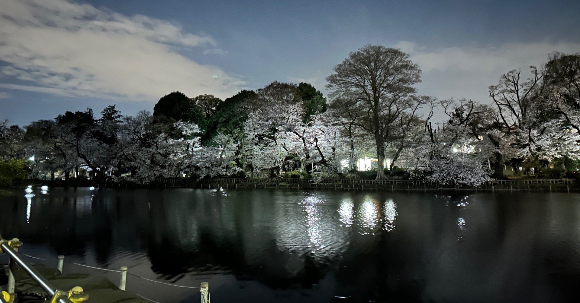 佐々木好　コンサートポスター 佐々木好 コンサートポスター 【公式通販】
