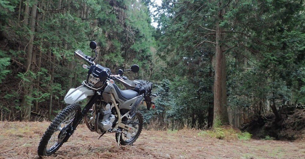 セロー乗りがシェルパを林道で乗ってみた｜アドベンチャーレオ