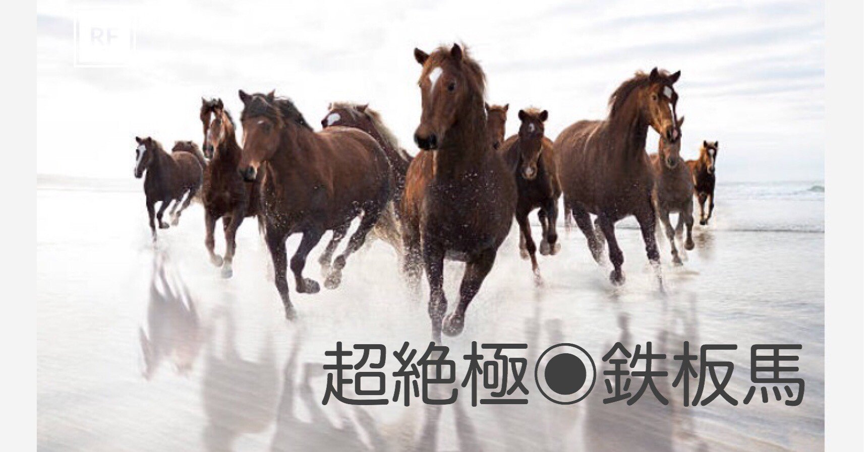 競馬予想　極4 ☆川崎4R☆ 【S】馬X予想｜うまっくす競馬🔥【競馬予想】