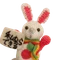 usagiha