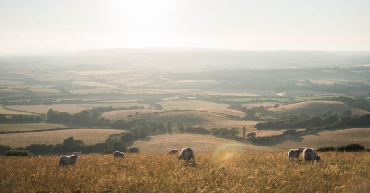 5.3.2 商業の発展 世界史の教科書を最初から最後まで｜みんなの