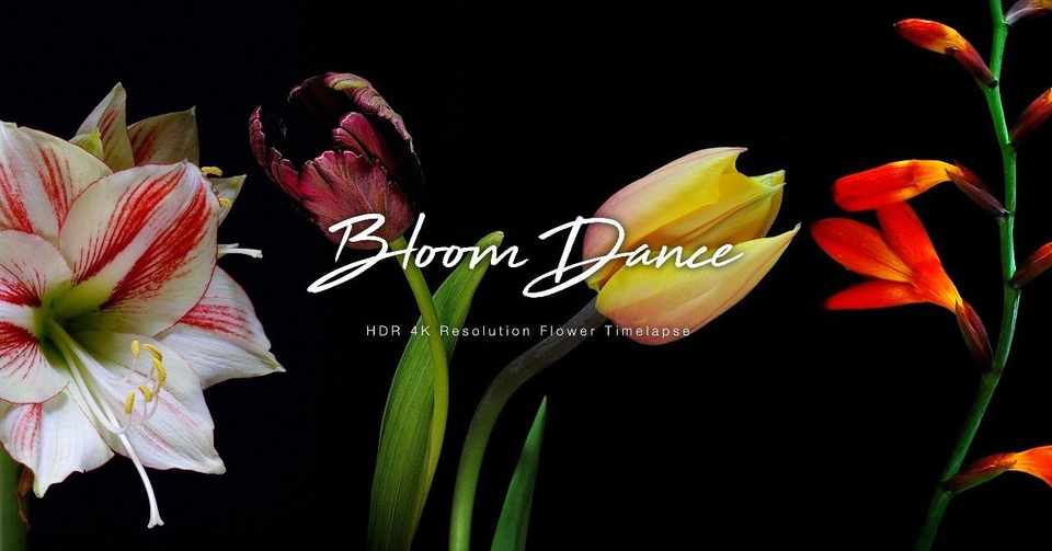 時間をコントロールできるタイムラプスという撮影方法について Go Motion Kitamura Yutaka Note