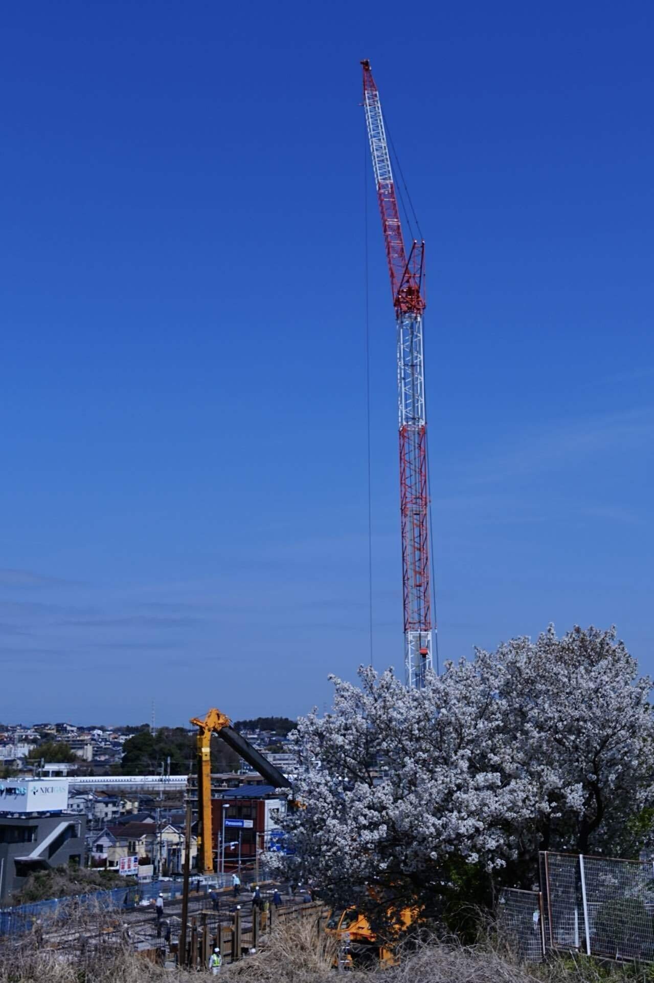 写真散歩 4/5〜桜満開α6700持って近所をブラブラ｜SuzukenSambar