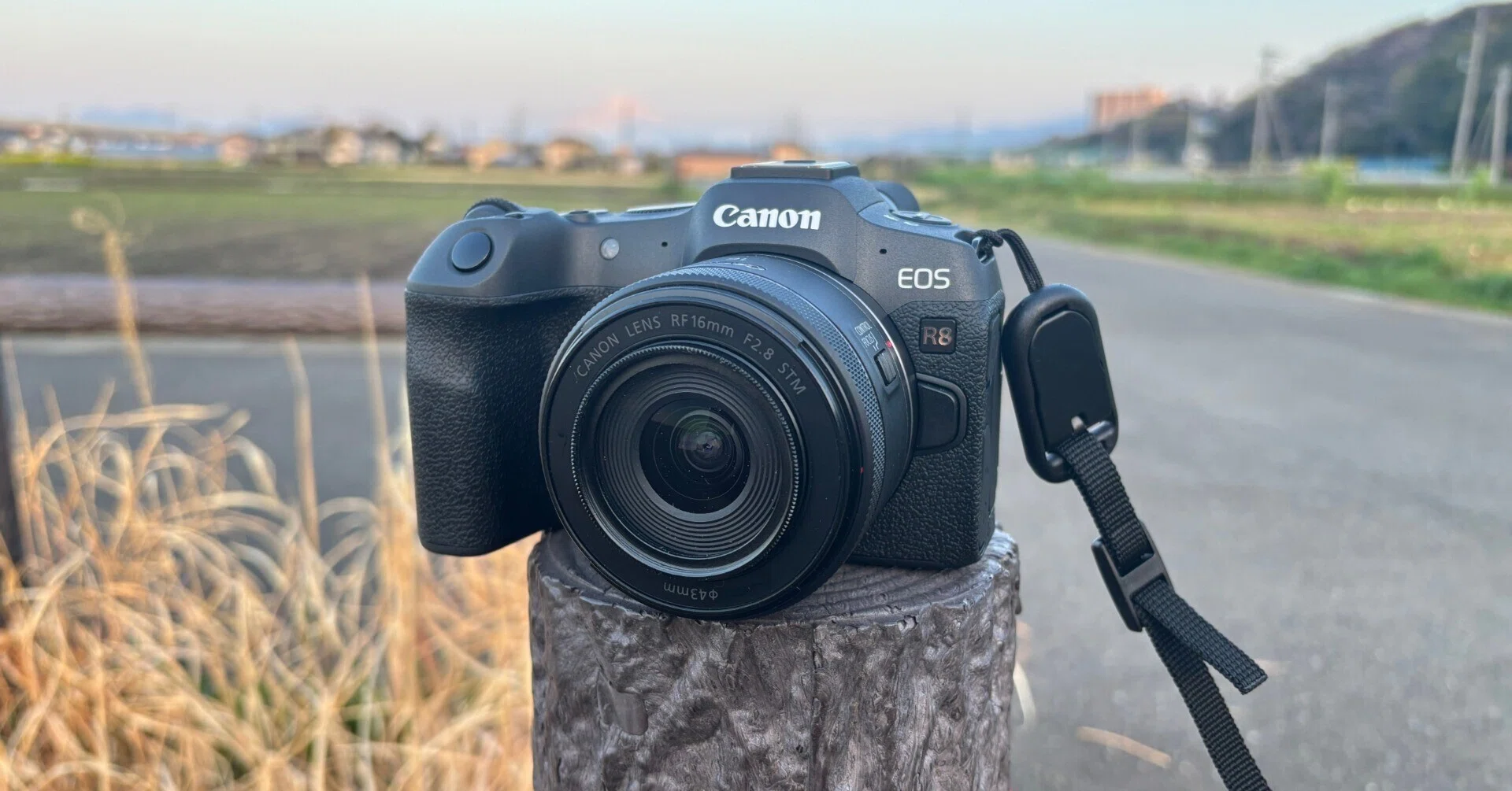 フルサイズセンサーのデカさにビビった話 EOS R8｜Channel Rihan