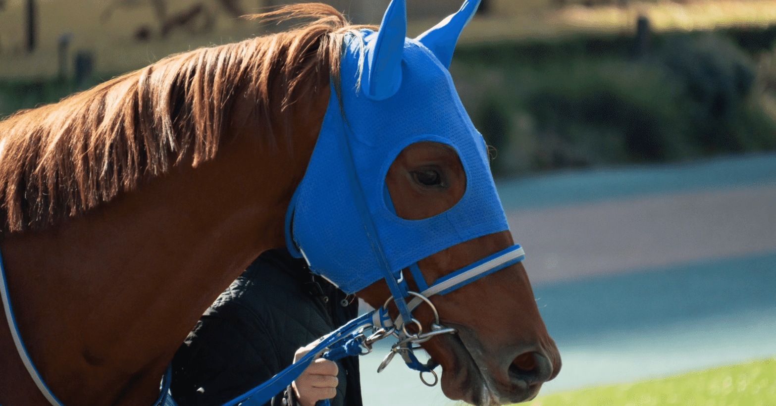 馬具・乗馬用品・ホースウエアミックレム頭絡デラックスコンペティション・ボロライディングショップ・輸入・通販 [Lorina] (ロリーナ) 馬用 シングルジョイント ルーズリング スナッフルはみ 銜 ビット 馬具 乗馬 ホースライディング