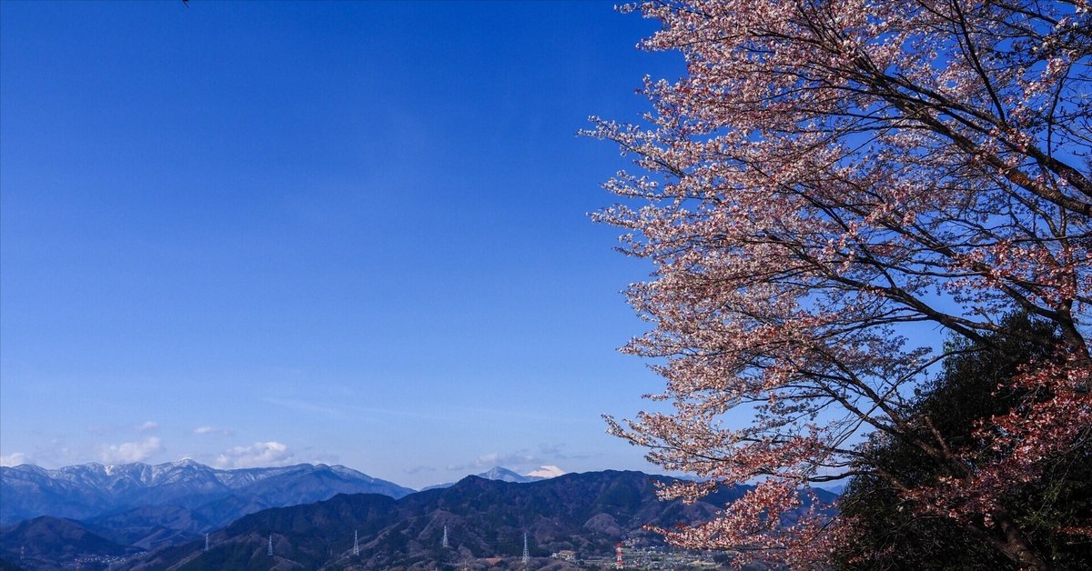 通販でクリスマス 高尾歳時記 Yusei 2025年4月5日｜悠星 その他